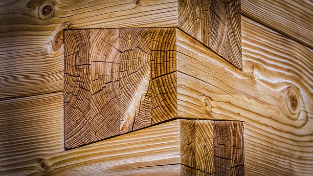 My Field Guide to Dovetails & Mortise Joinery : What Actually Works